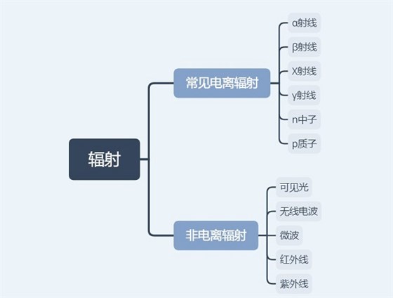 射线辐射,铅门